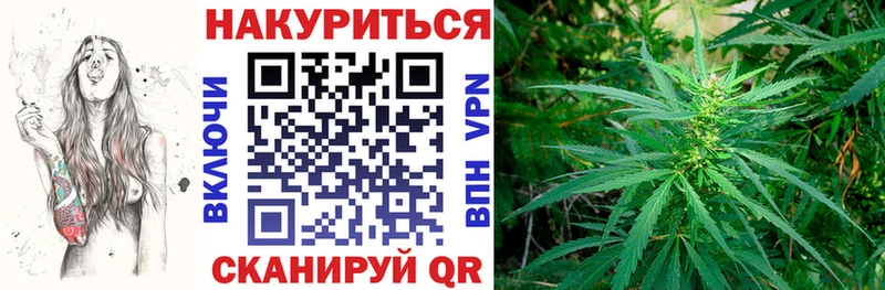 Шишки марихуана MAZAR  купить закладку  Карачаевск 
